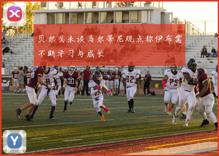 贝尔戈米谈马尔蒂尼观点称伊布需不断学习与成长